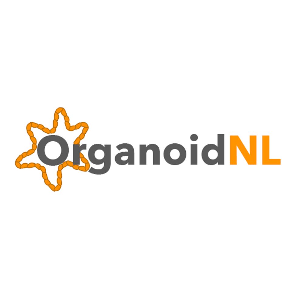 OrganoidNL