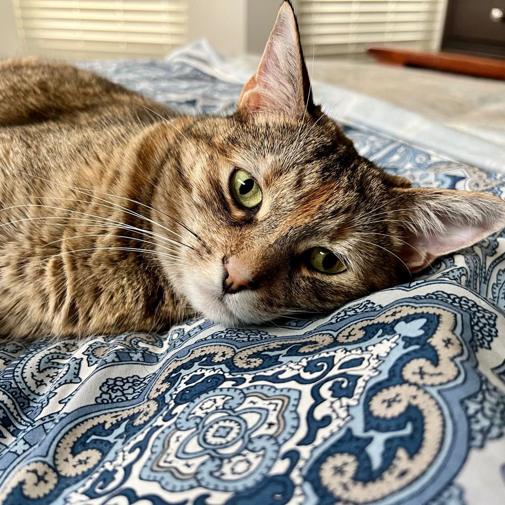 Mom of Sydney and Emma