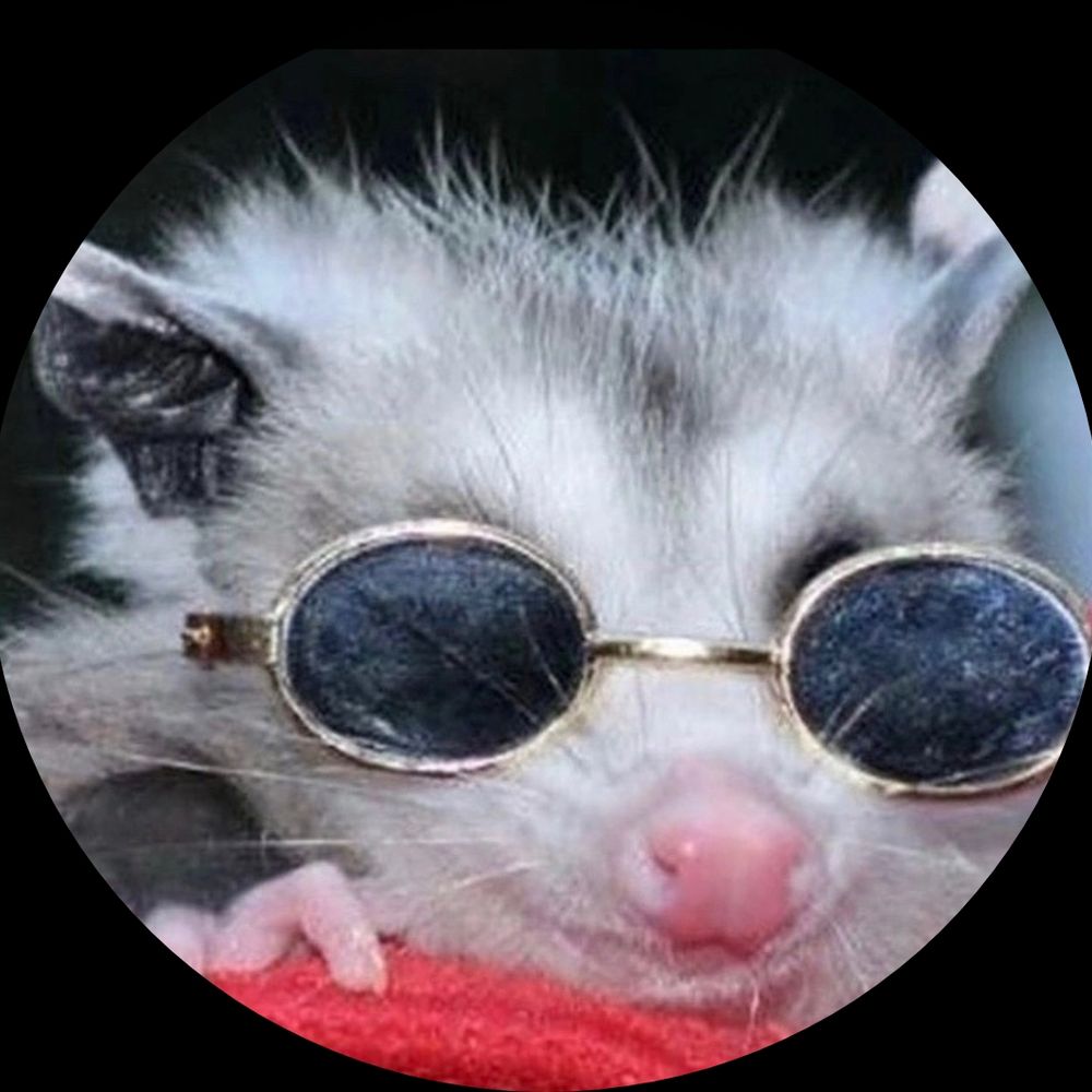 Trash Rat 🐀