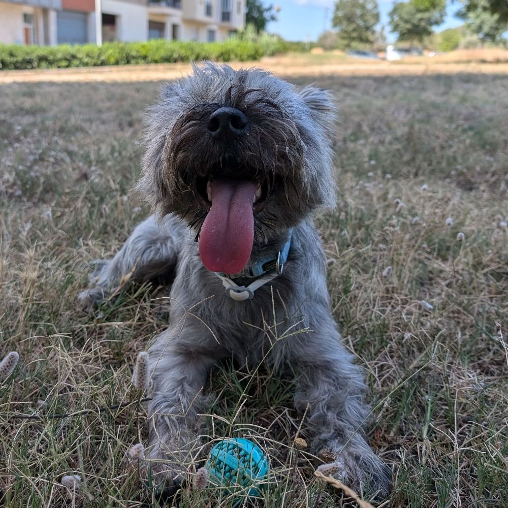 Cairn