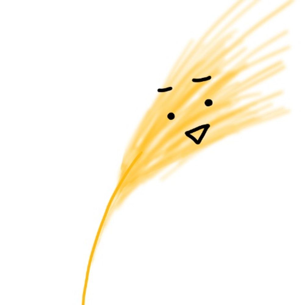 こむぎ