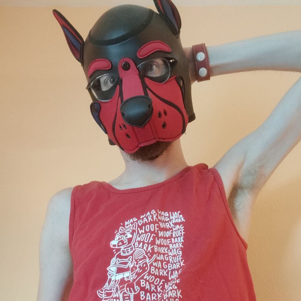 Pup Rico, Husky in Red