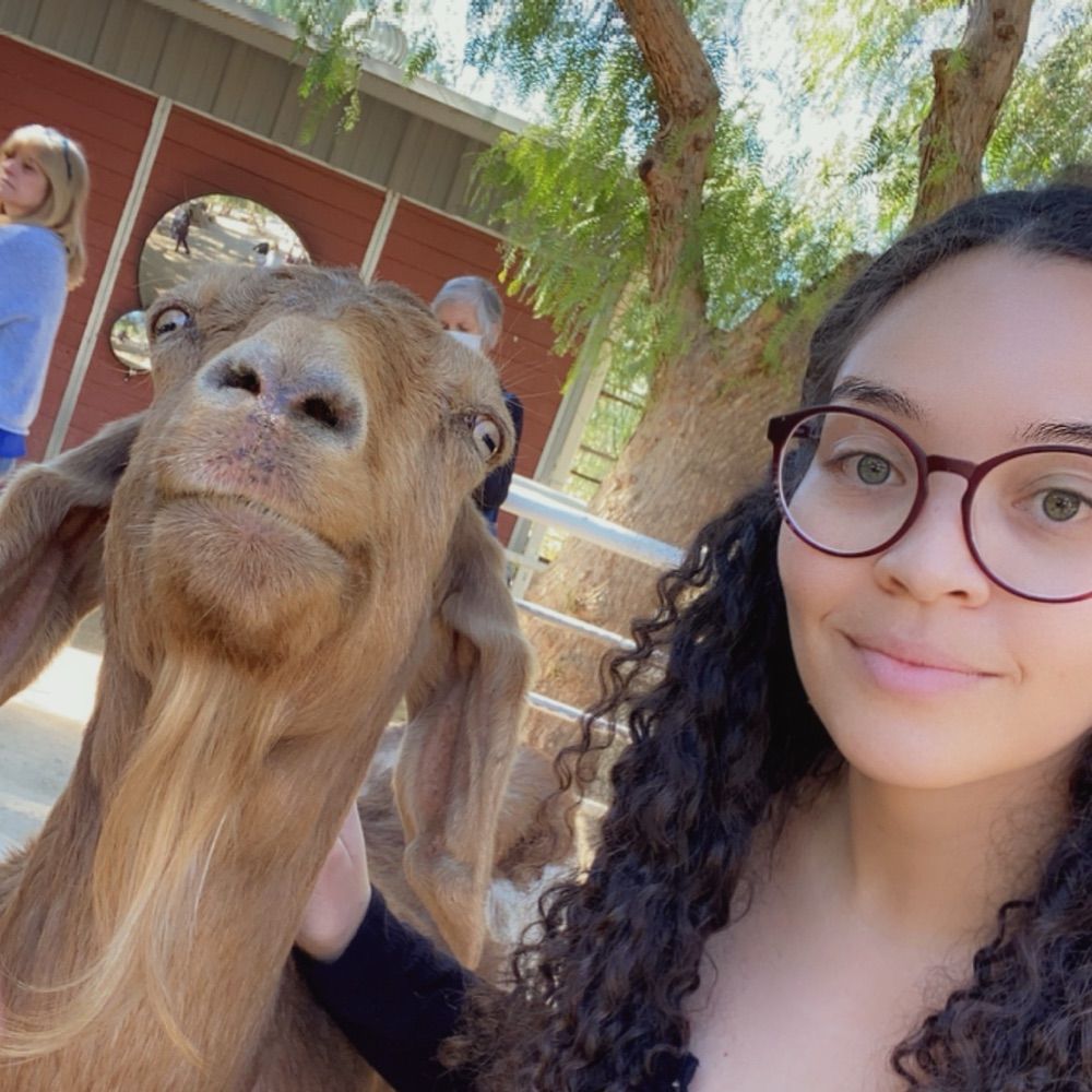 caitlinmh.bsky.social