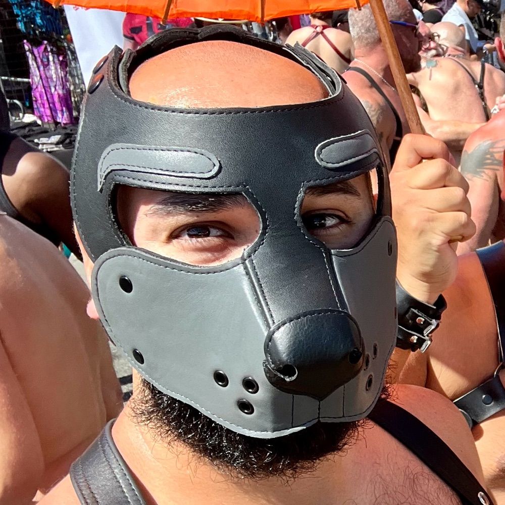 Pup Rush