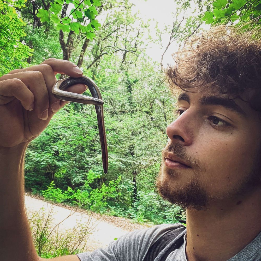 Léo Laborieux