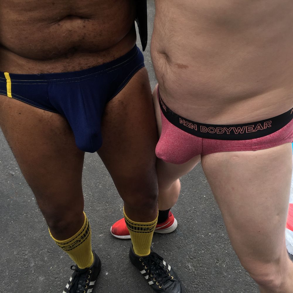 RealPIGS