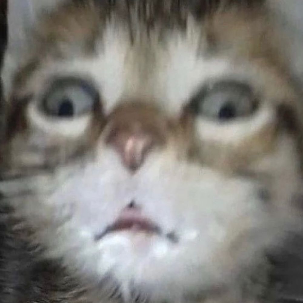 Pip