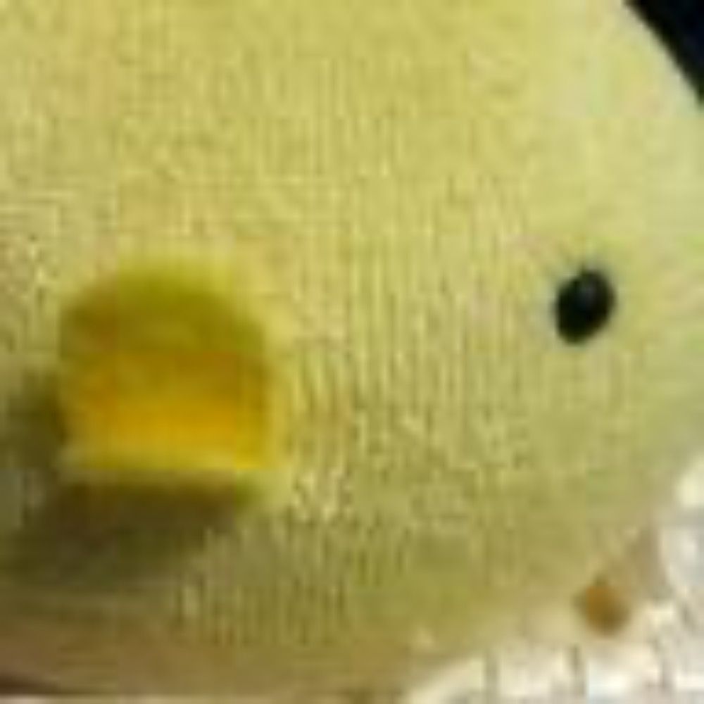 フミ