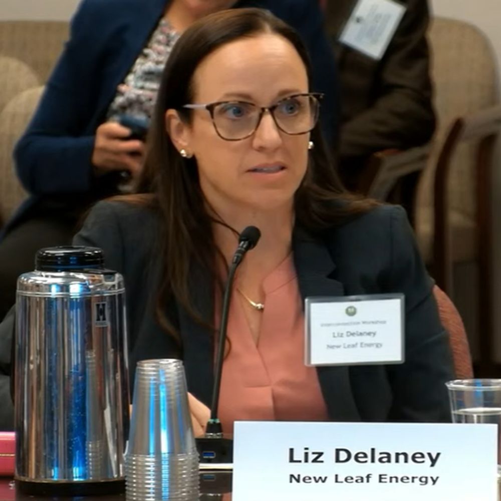 Liz Delaney