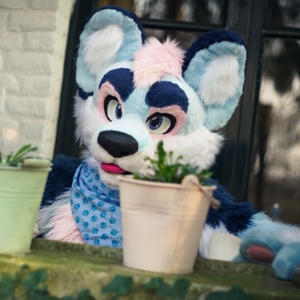 Milanos Wusky