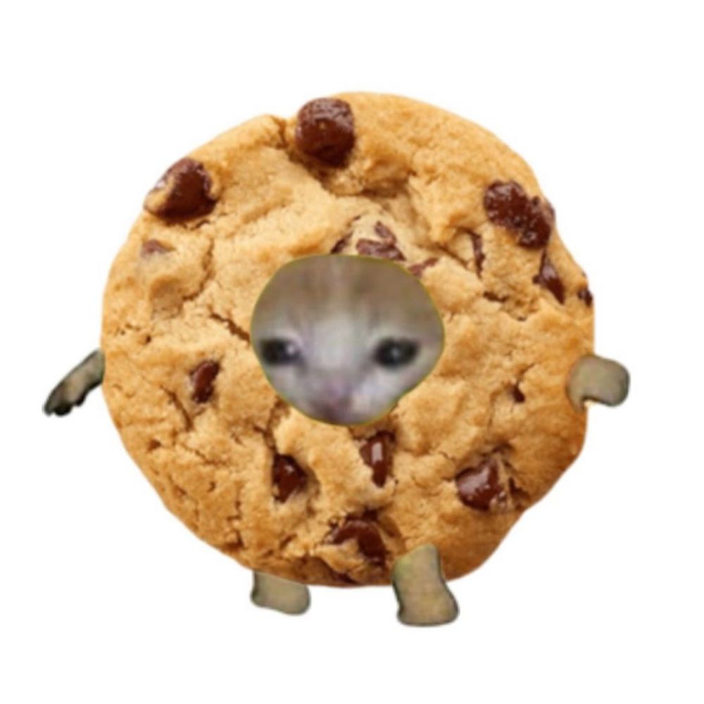 Cookie🍪