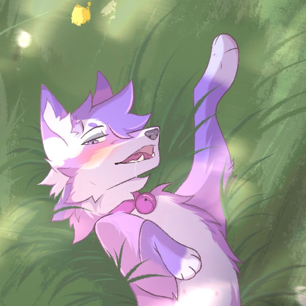 Drella 🦊 ☉∇ 🔞