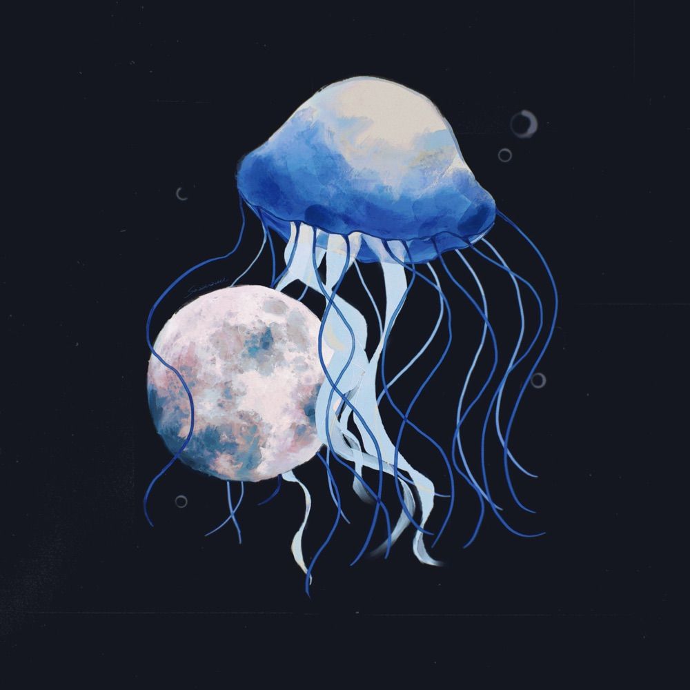 𝖲𝖠𝖹𝖠𝖭𝖠𝖬𝖨