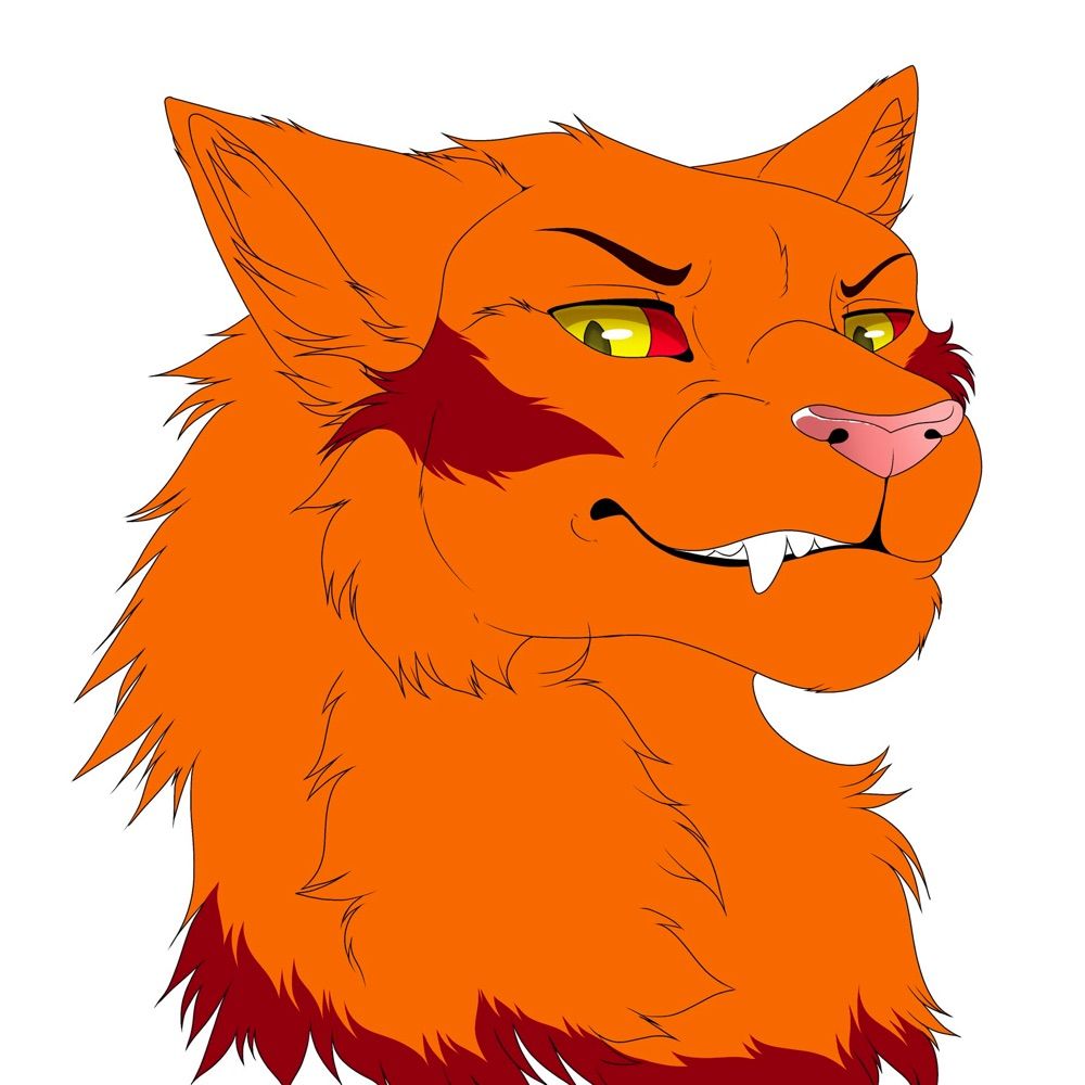 Kaï the demon cat