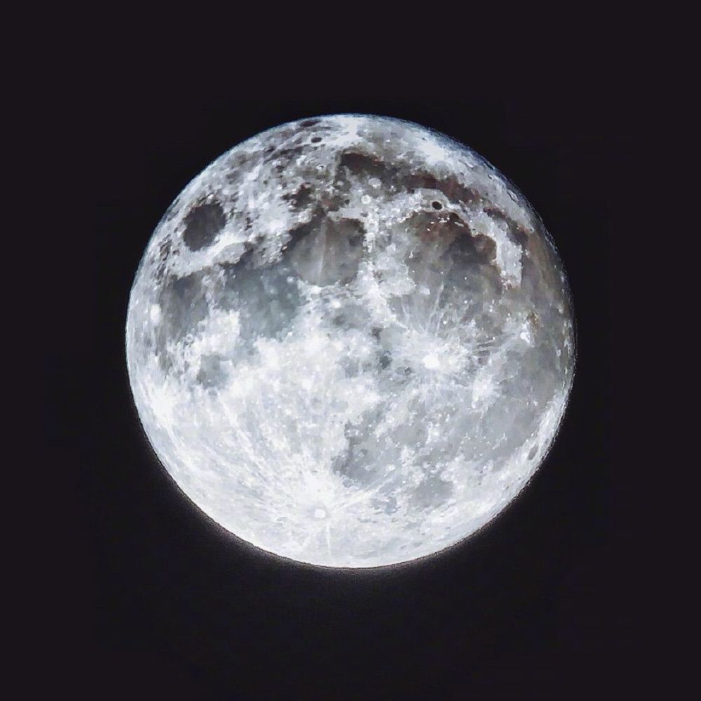 恐龙扛狼