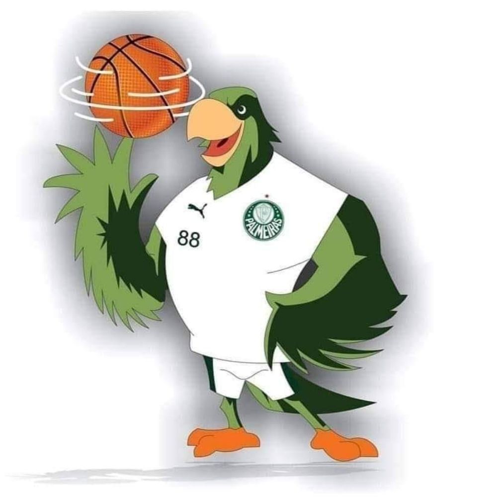 Basquete Palestrino 
