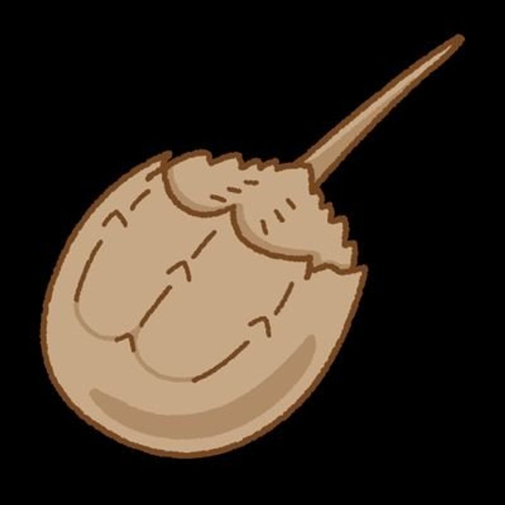 滝ギガス