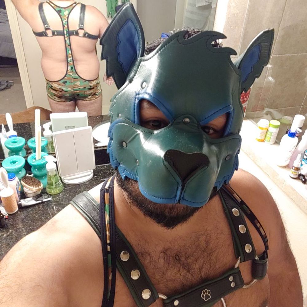 Texas Wolf Daddy