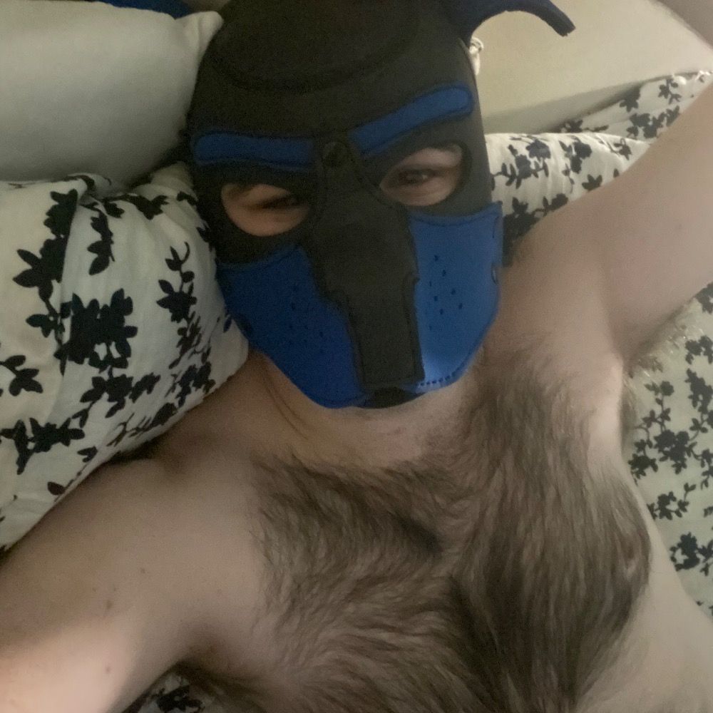 Pup Koda