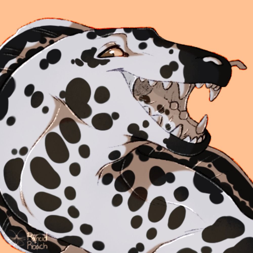Some Random Eel