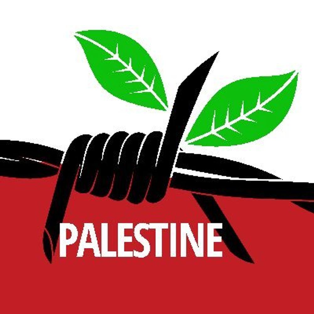 The Palestine Project