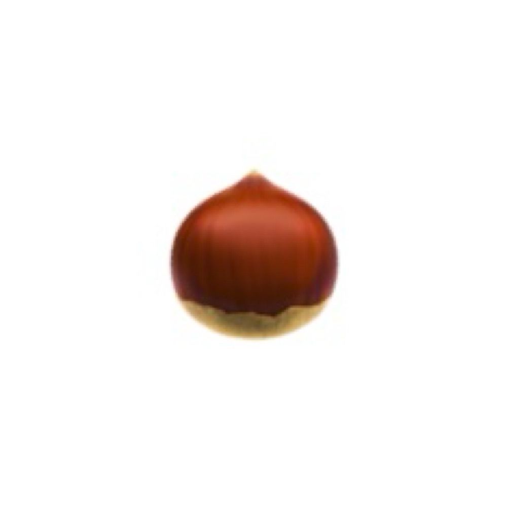 밤