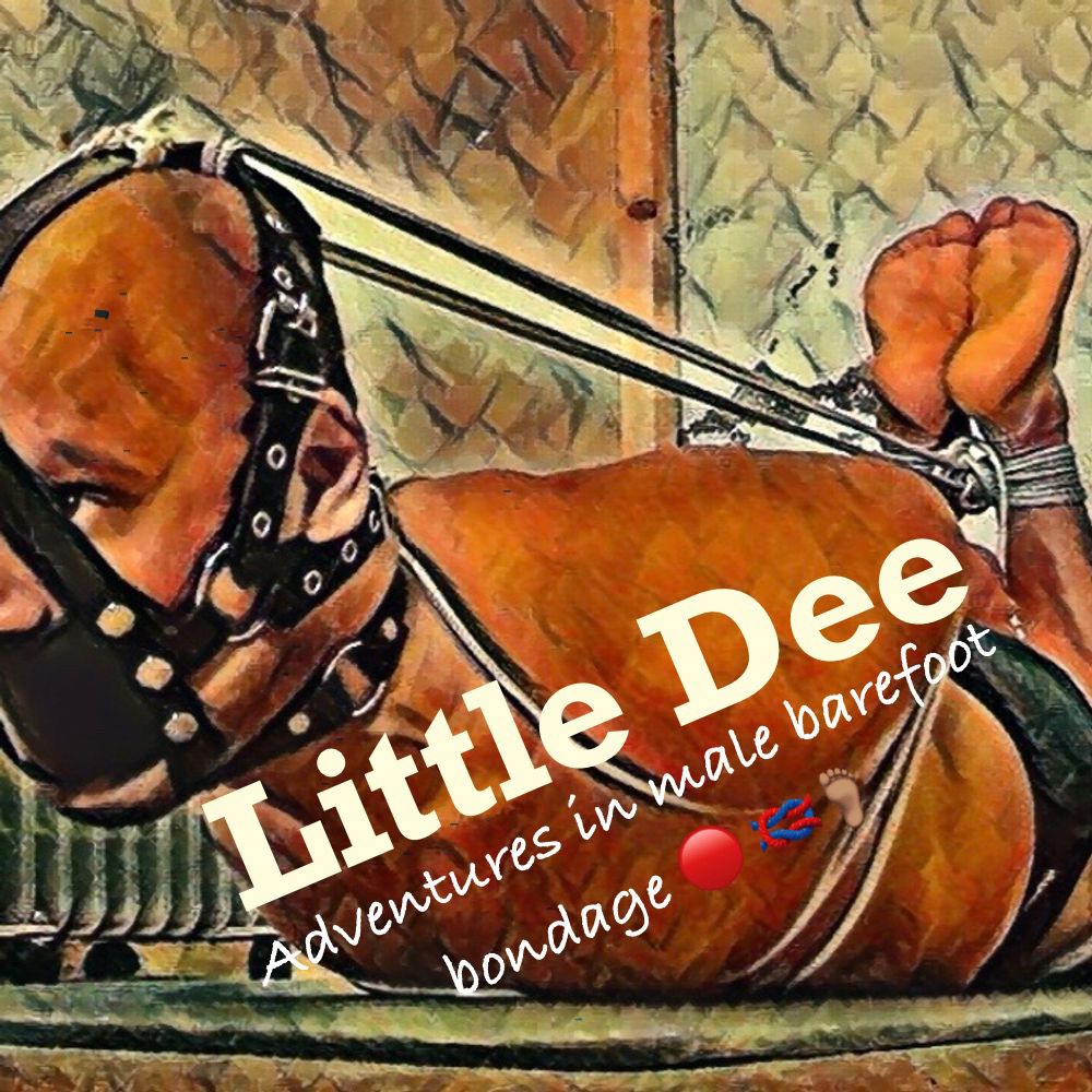 Little Dee