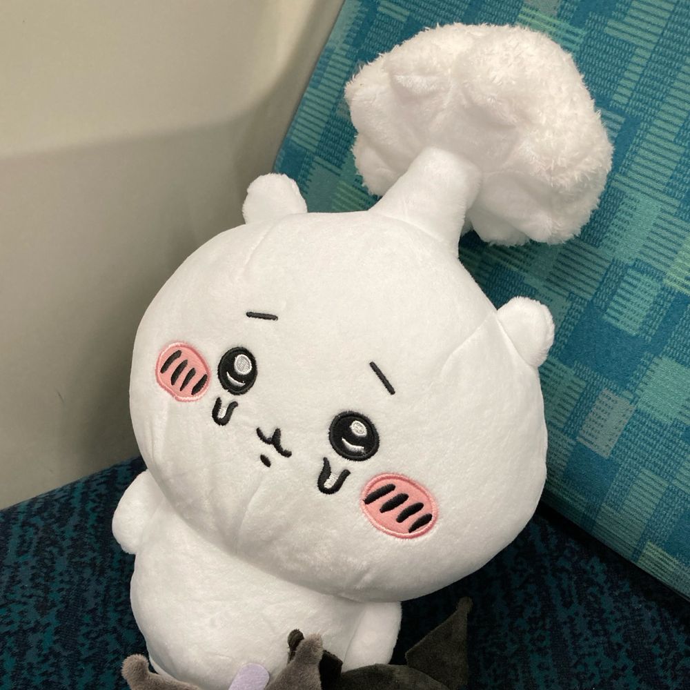 みやこの
