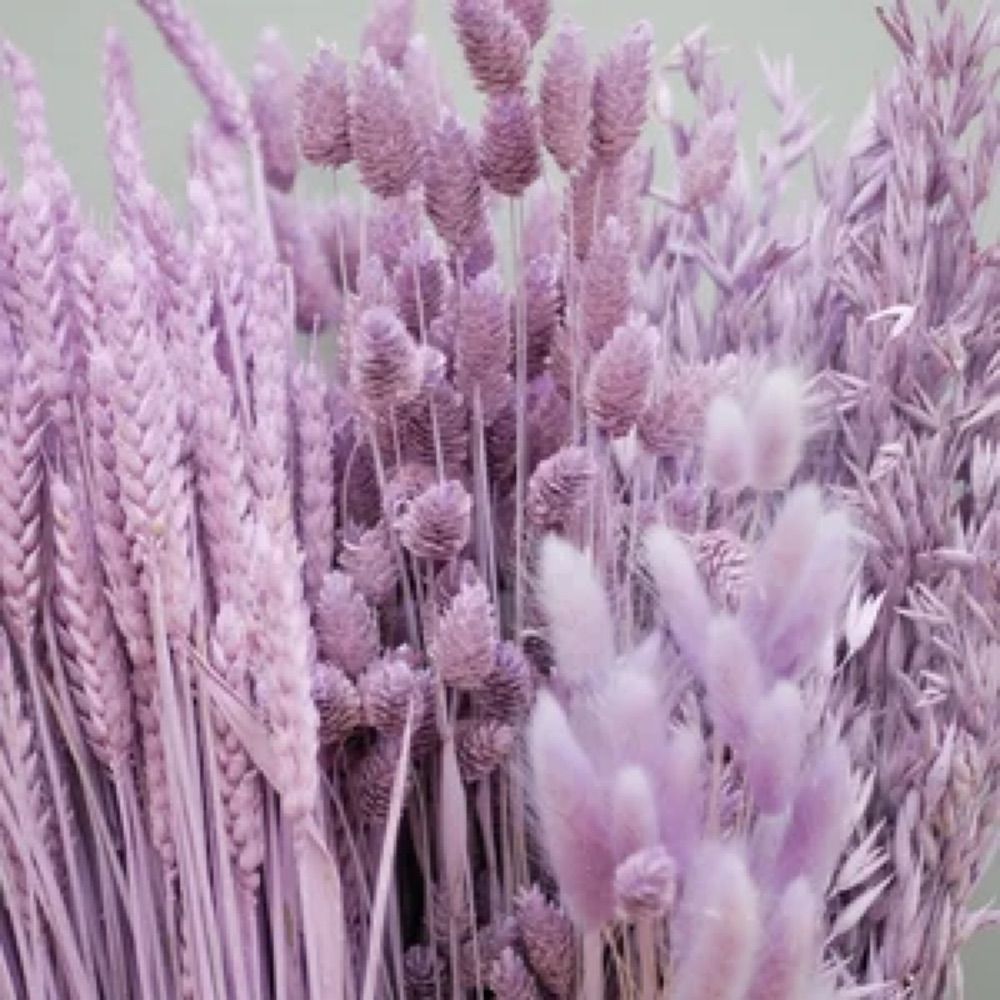 OatsAndLilac