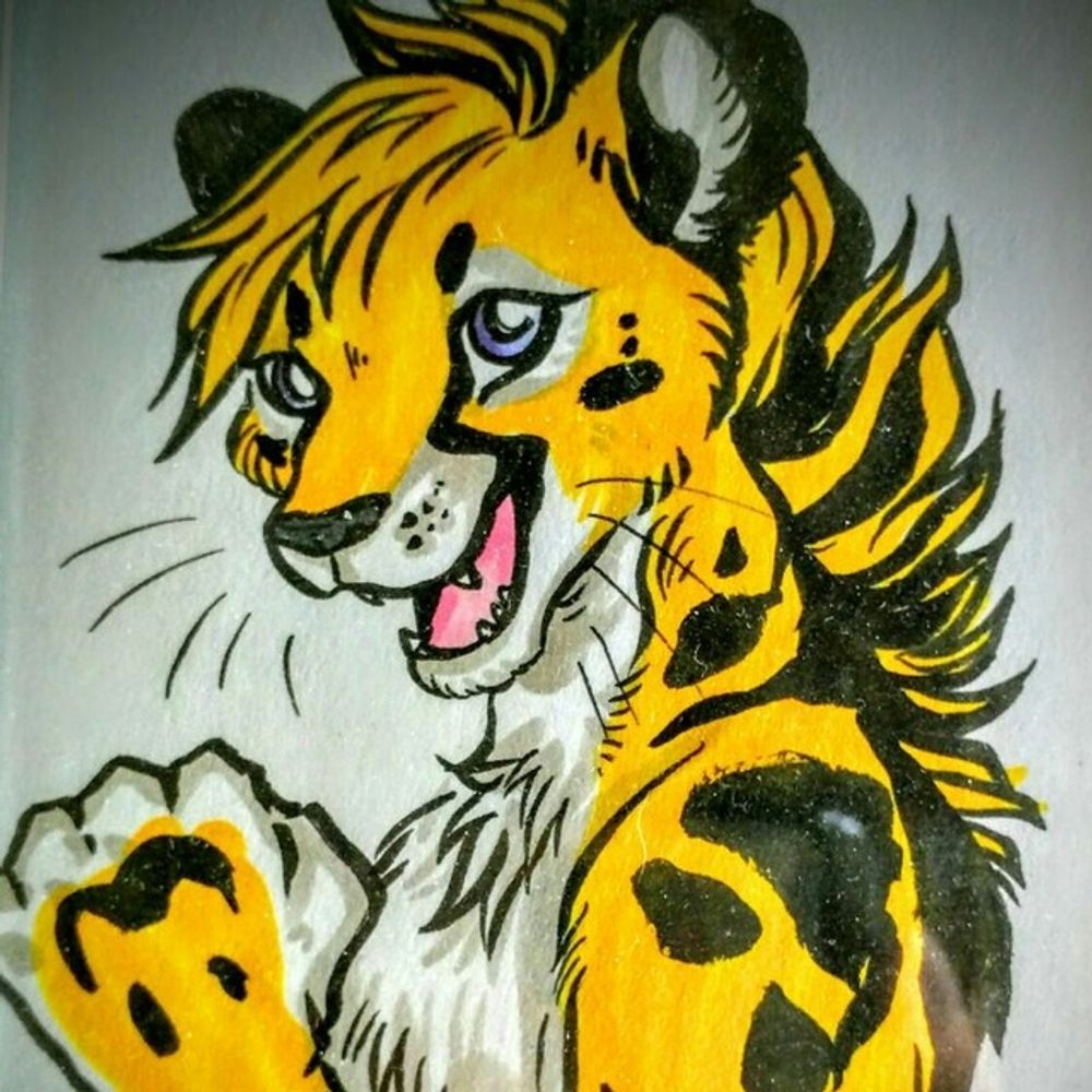 RuppCheetah