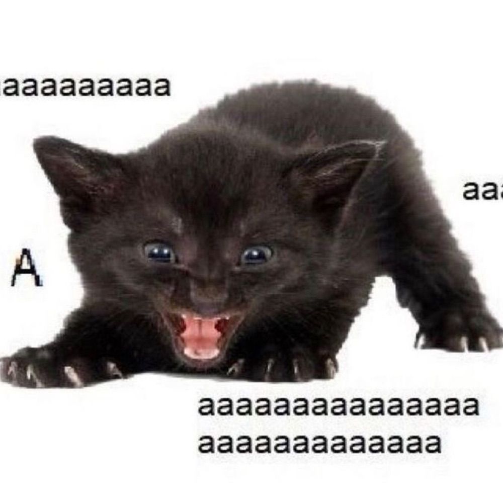 AAAaaaa