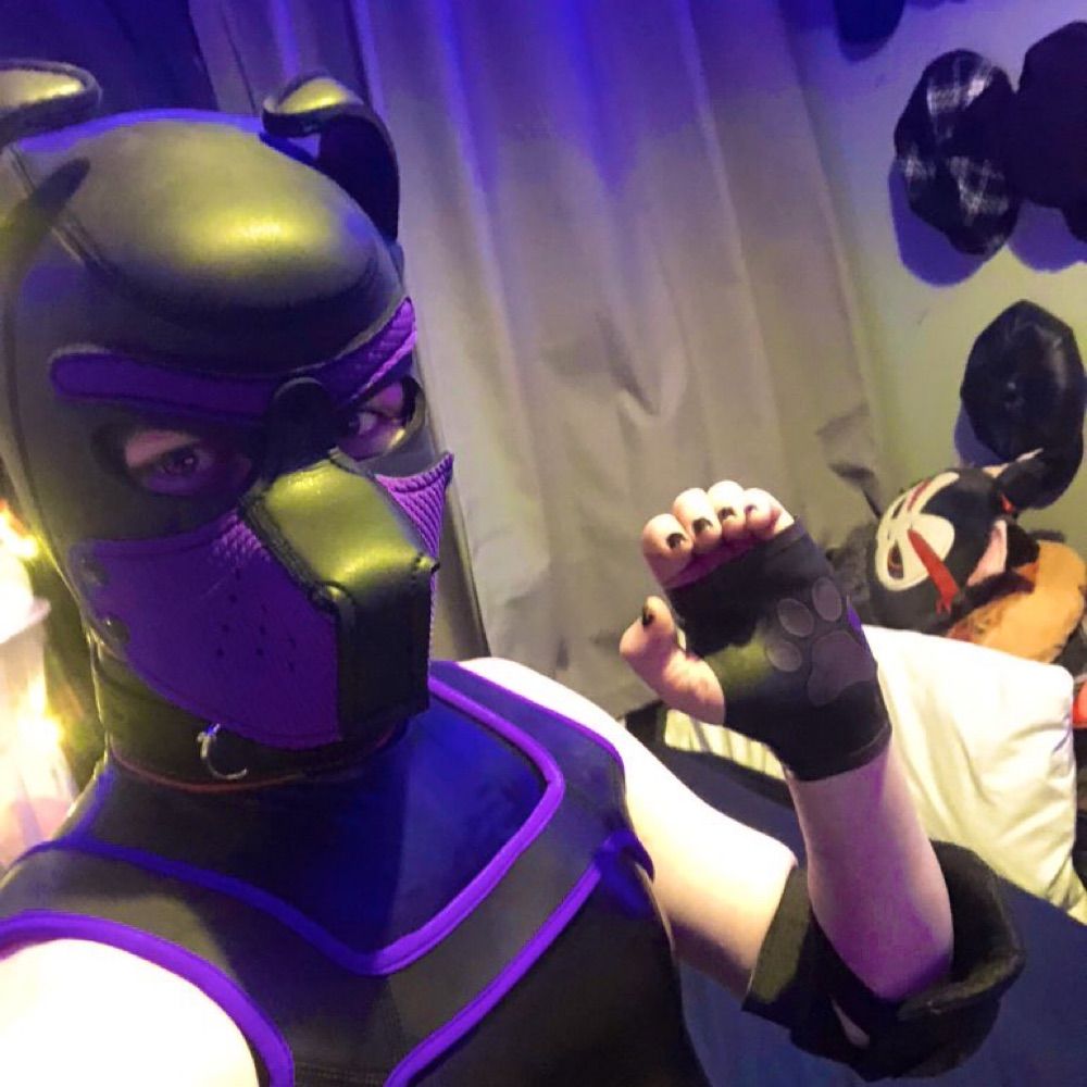 ShinyPupSam