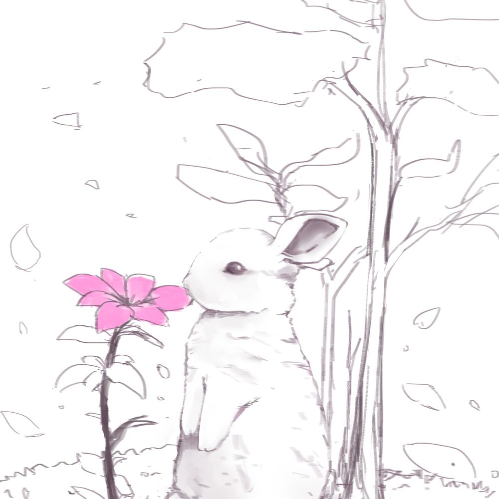 KRBtutuRABBIT