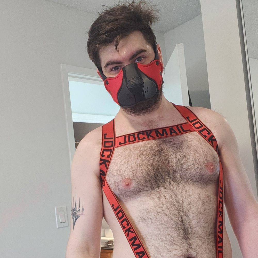 Rob - Bandit