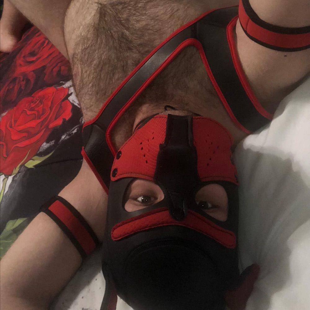 Pup cakez