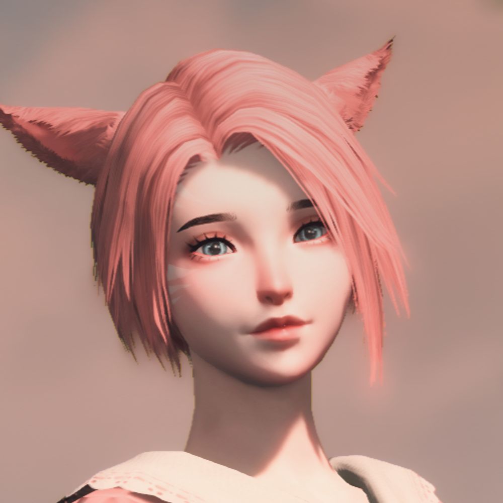 Stereotypical Fem Miqo'te lost in Deepspace