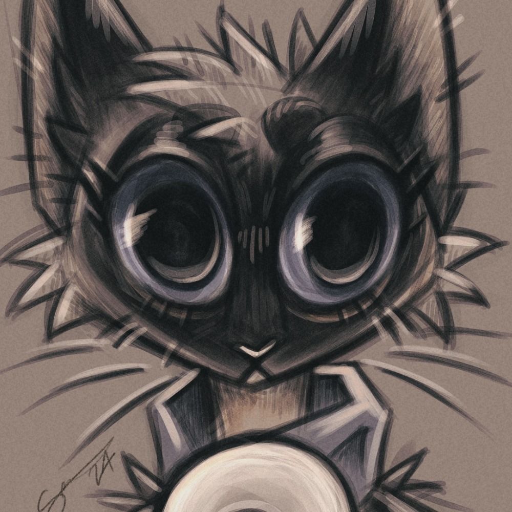 Cas Kitty