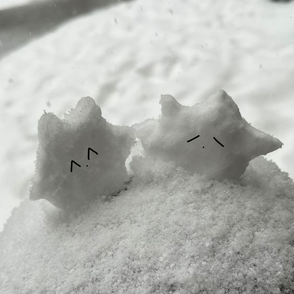 𓏸𓈒꒰ঌ佐藤໒꒱𓈒𓏸