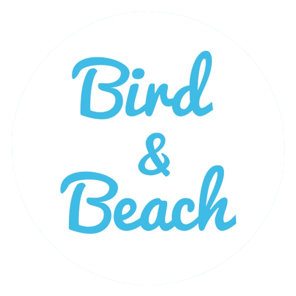 Bird and Beach