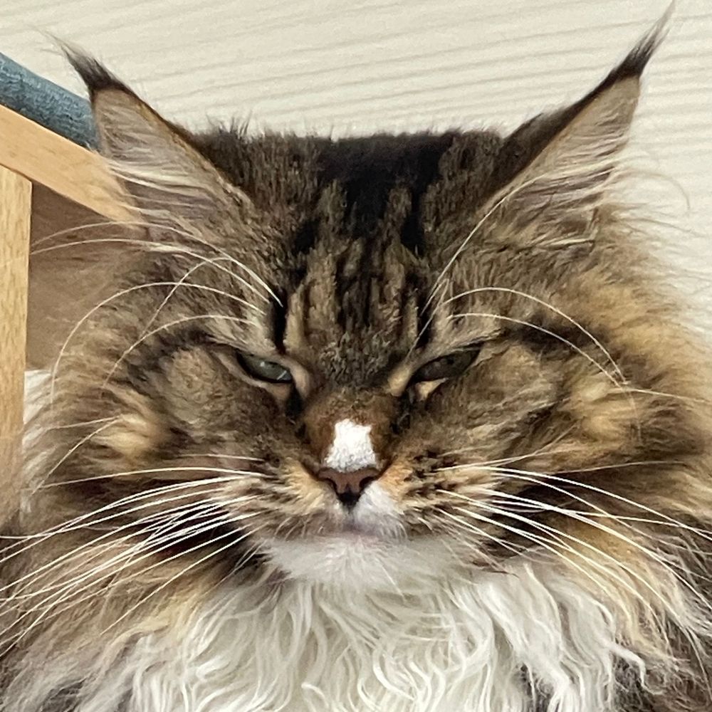 王子