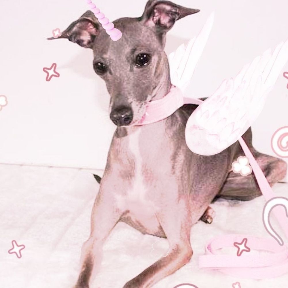 Vaginose2.0 ಥ⁠‿⁠ಥ