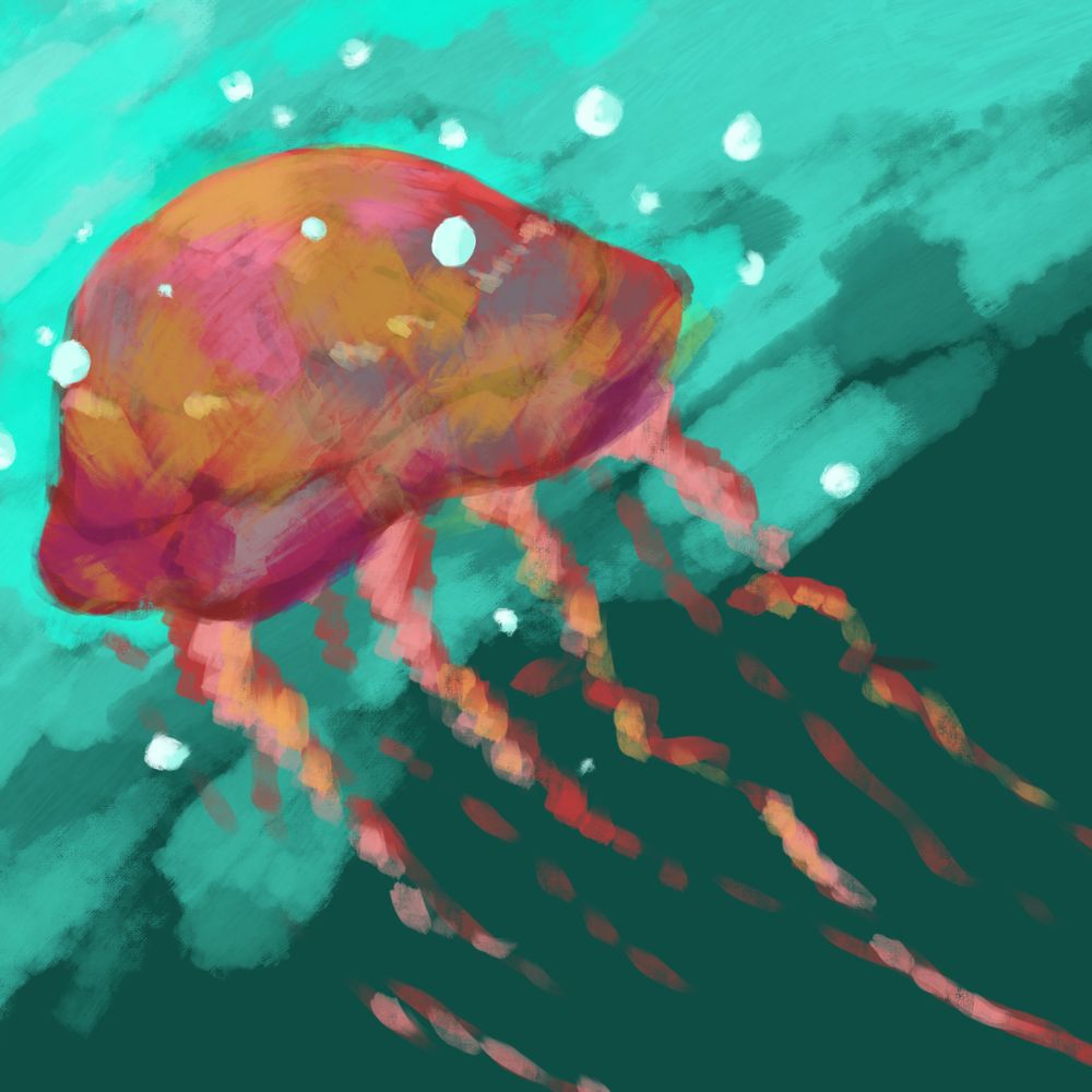 Jelly
