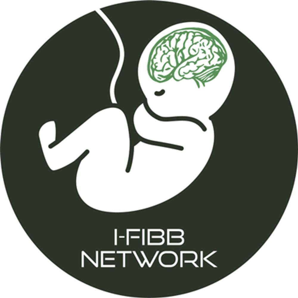 I -FIBB Network