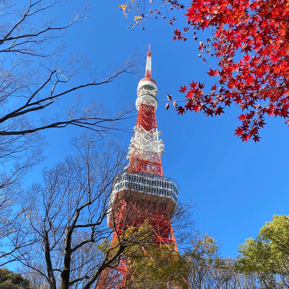 つつうらうら