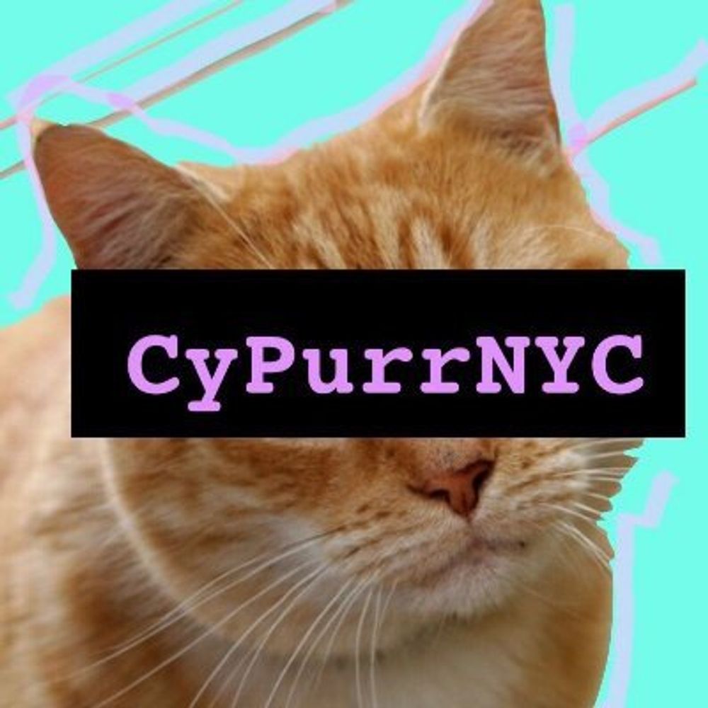 Cypurr Collective