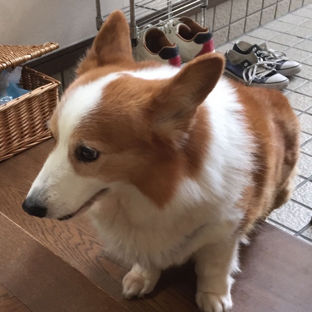 るか