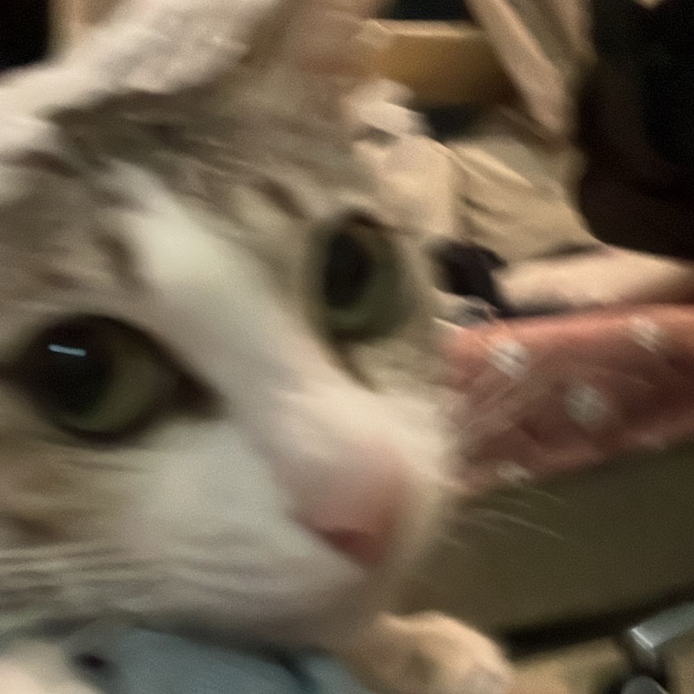 무햄