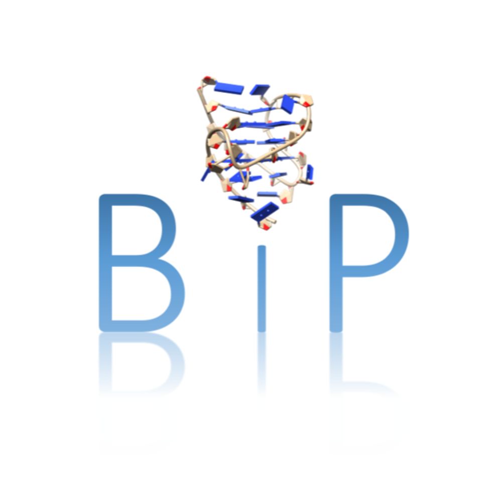 BIP_Unipa