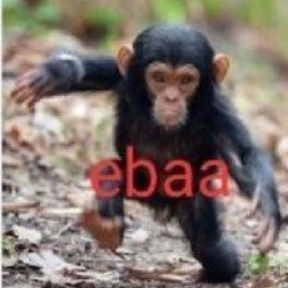 ᵈᵘᵈᵘ ᵖʳᶦᵐᵉ