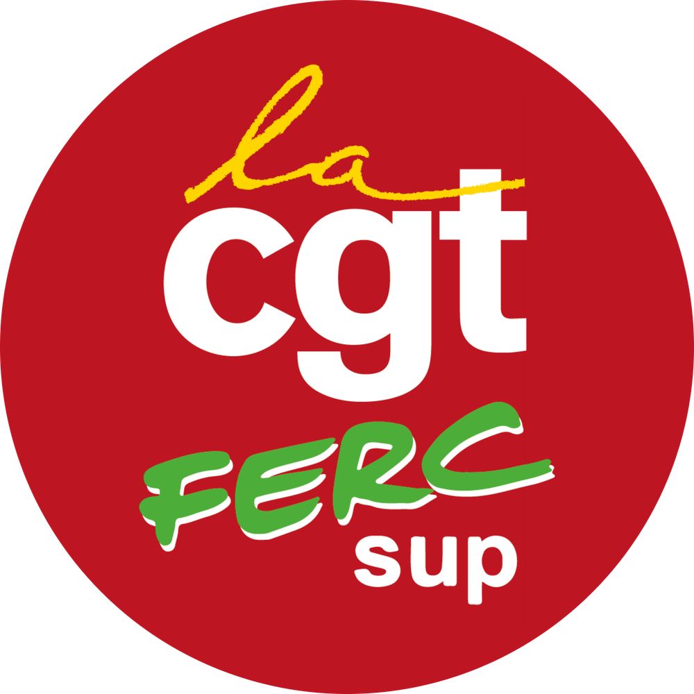 CGT FERC Sup